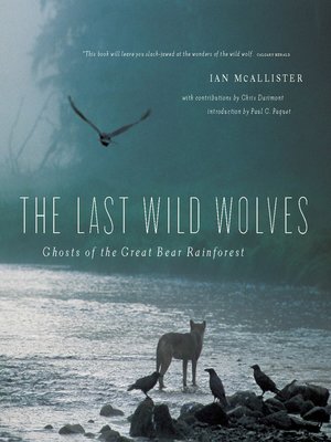 cover image of The Last Wild Wolves
